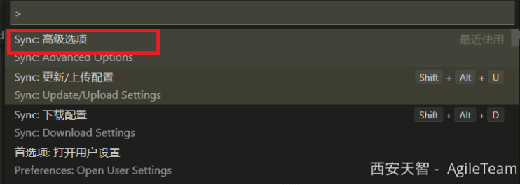 vscode, Sync Selct Options